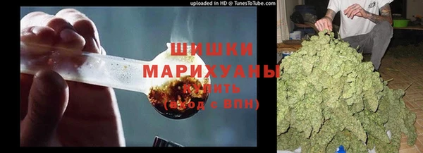 ГАЛЛЮЦИНОГЕННЫЕ ГРИБЫ Алзамай