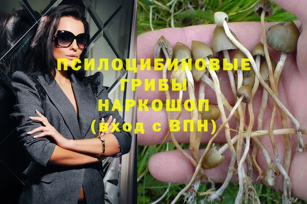каннабис Алексеевка