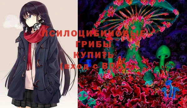 ГАЛЛЮЦИНОГЕННЫЕ ГРИБЫ Алзамай