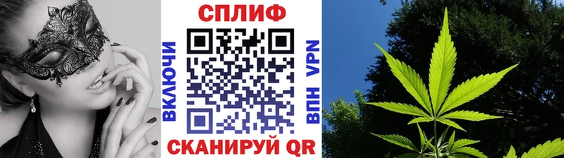 сайты даркнета телеграм Пикалёво Марихуана MAZAR купить наркотик